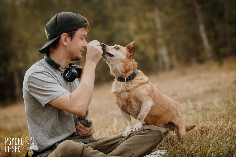 Wesoły, przyjacielski psiak szuka kochającego domu