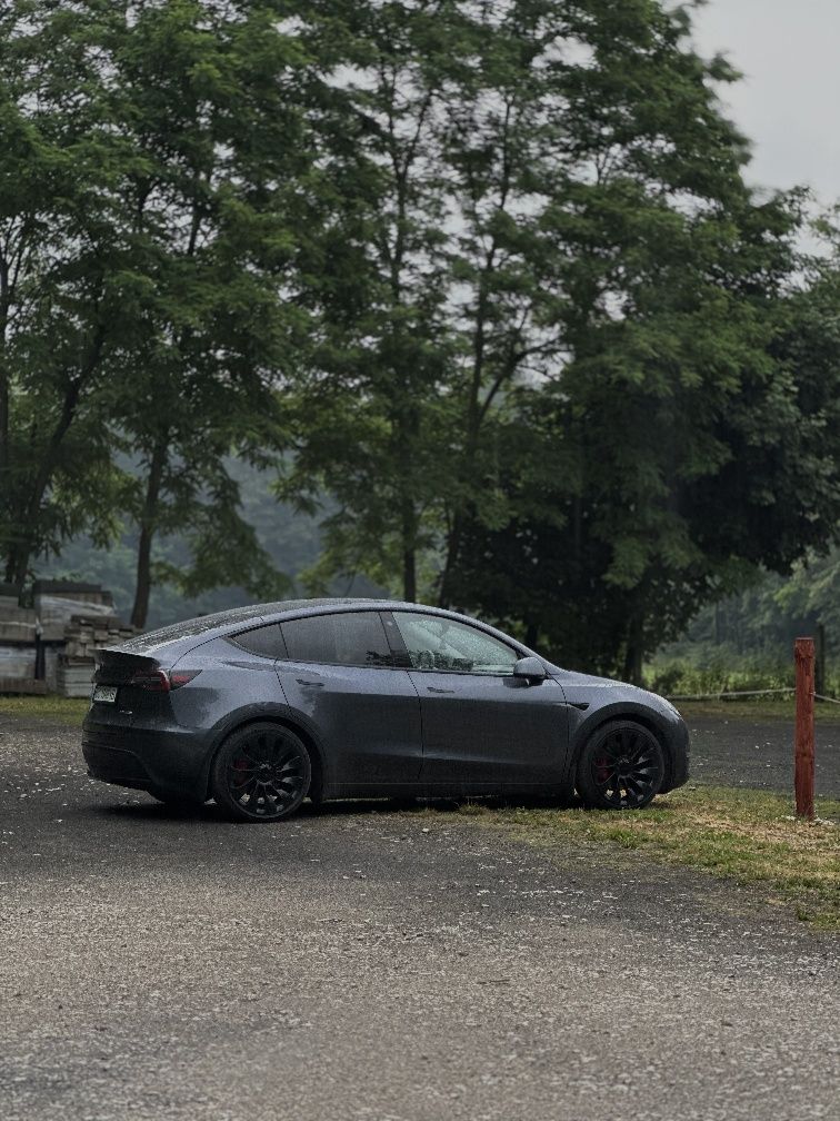 Tesla Model Y Performance Тесла Модел У Перфоменс
