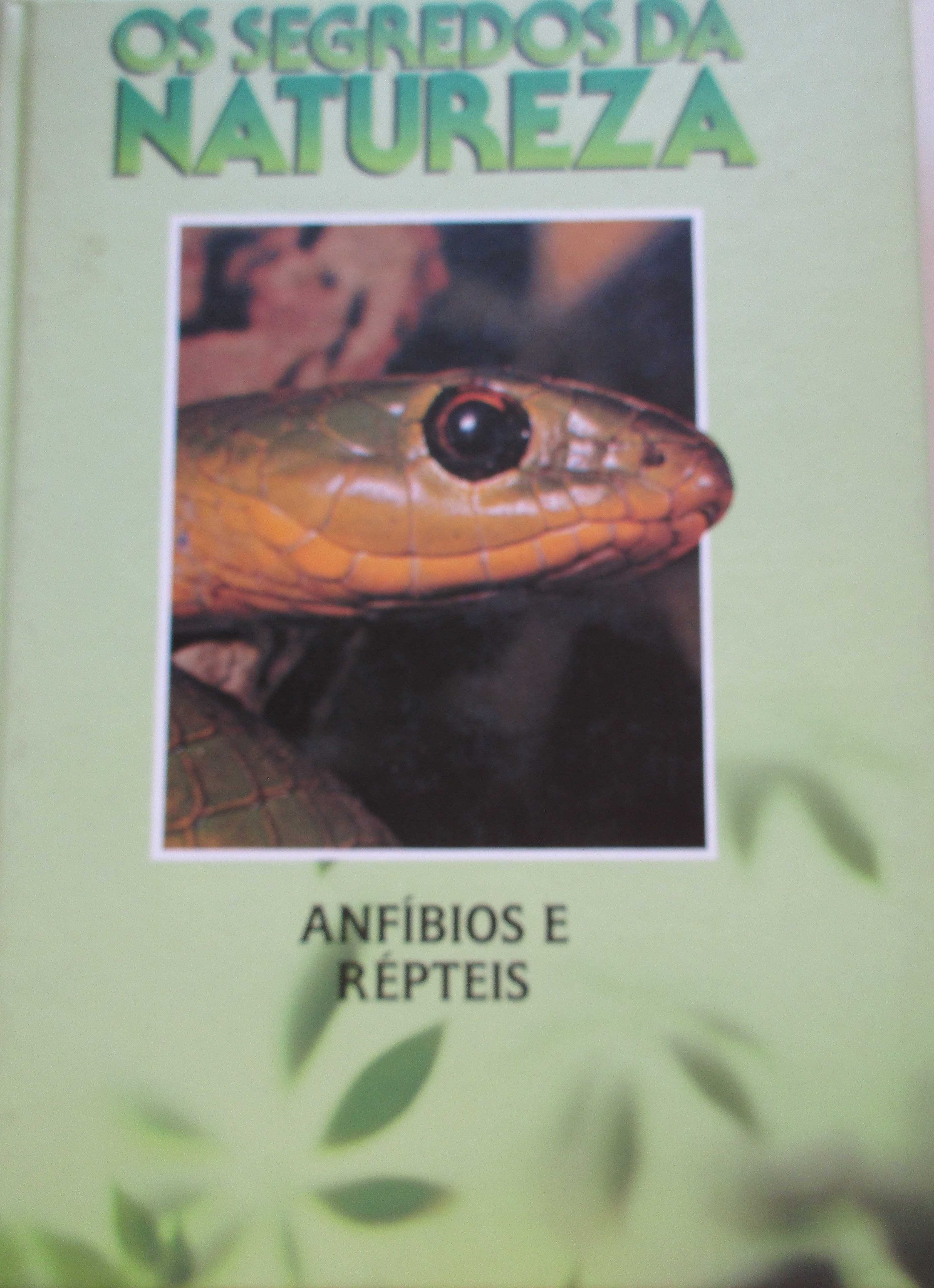 Os Segredos da Natureza - - - Enciclopédia - - - - - 8 X Livros