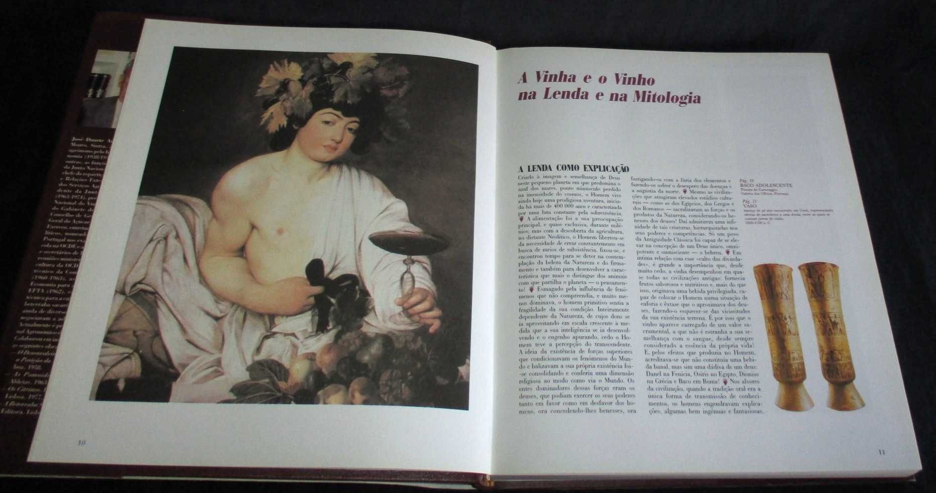 O Grande Livro do Vinho J. Duarte Amaral Temas e Debates