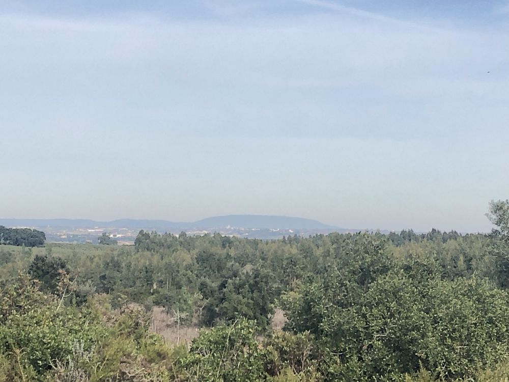 Quinta rustica 4320 m , com moardia t3 c permissao para finalizar obra