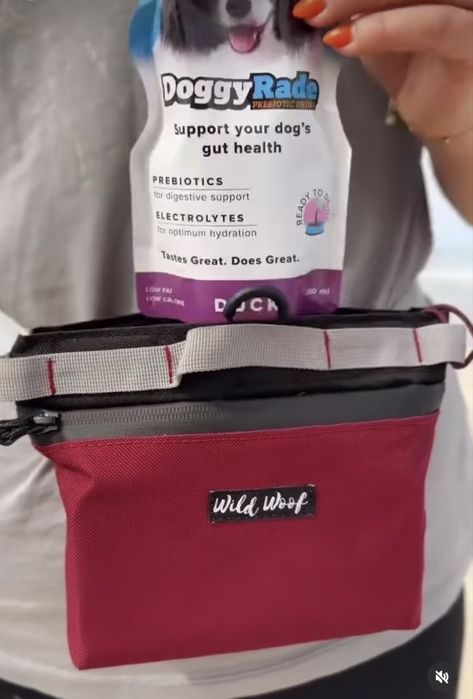 Сумка для смаколиків для собак wild woof (можна як звичайна сумка)