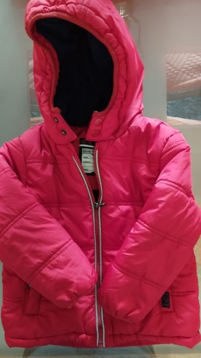 Kispo cardado por dentro