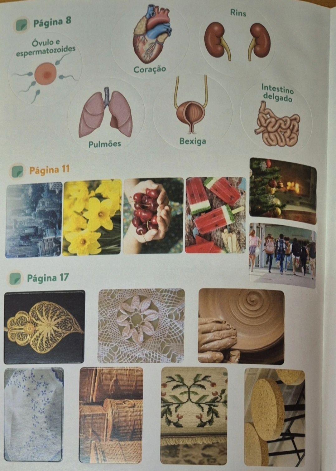 Livro Plim - Ferias de A a Z 3 e 4 Ano
Exercícios que desenvolvem :
Po