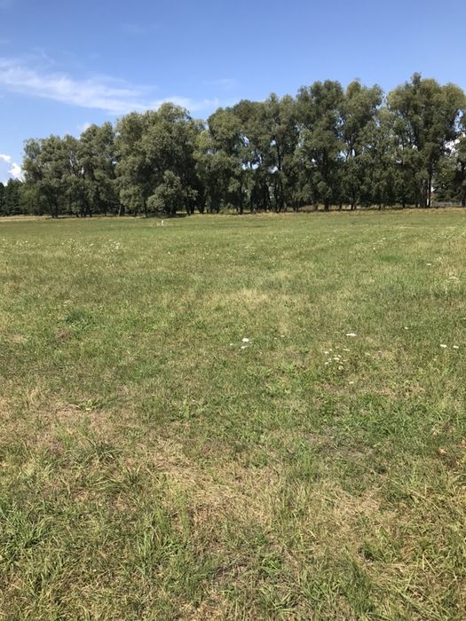 Продажа земельної ділянки