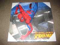Quadro/Tela do "Homem Aranha (Spider Man)" Modelo 2