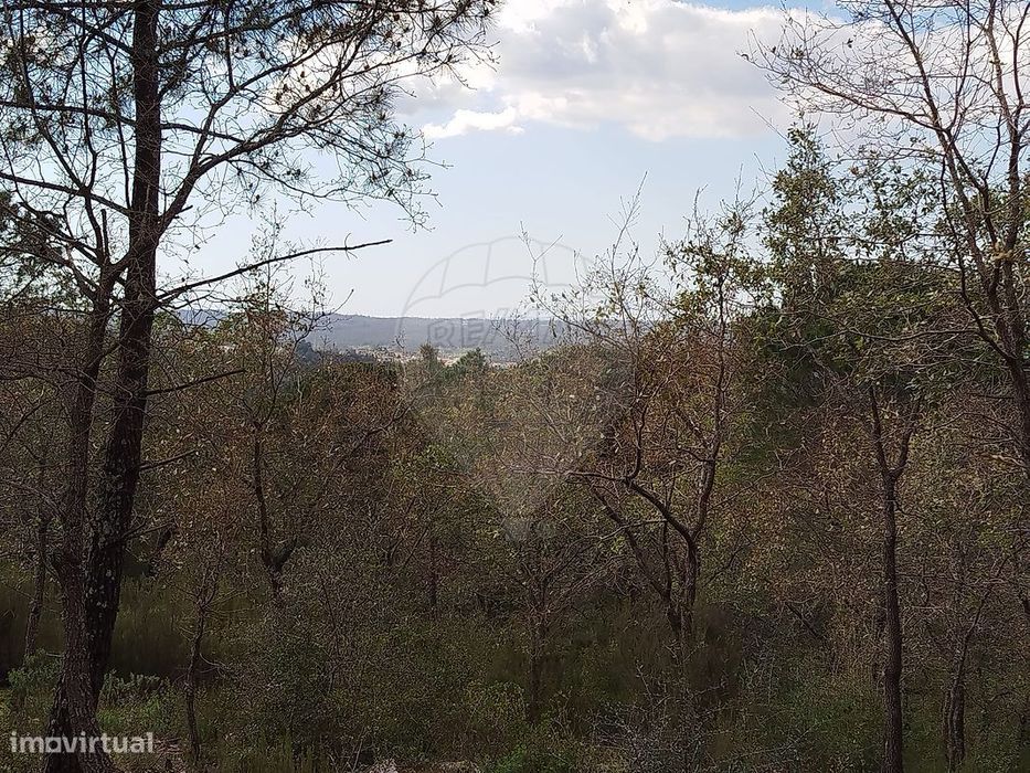 Terreno  para arrendamento