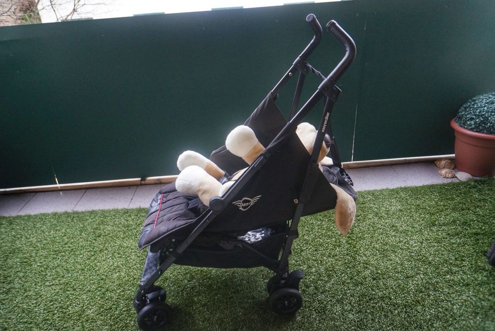 Carrinho bebe bengala Easywalker Mini