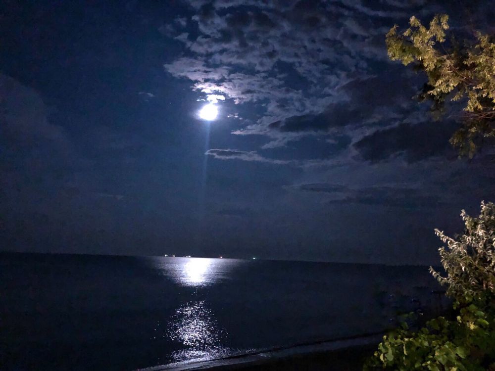 Домик таки у самого моря.