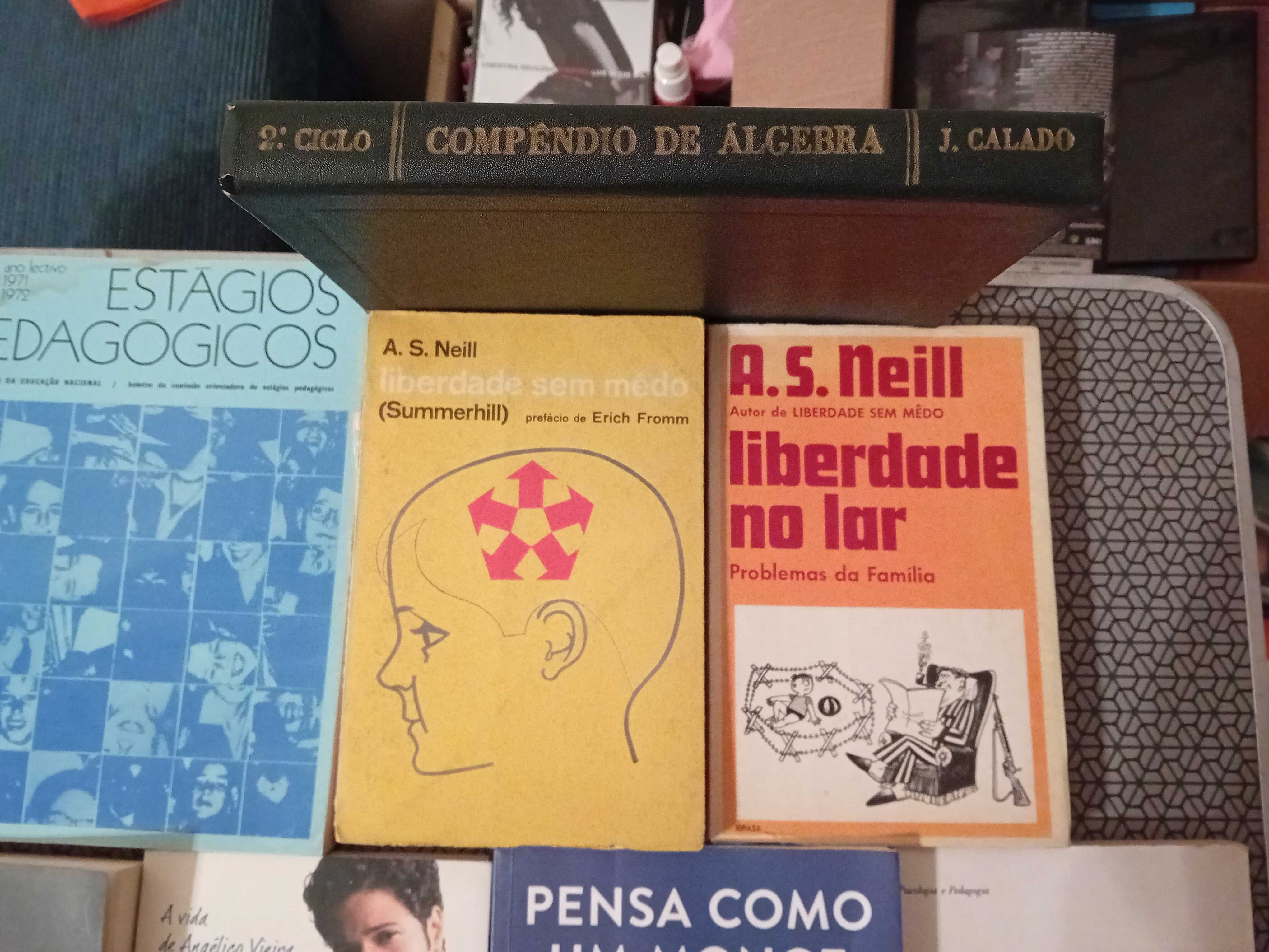 Livros Vários Temas Antigos e Recentes - Novas Entradas.