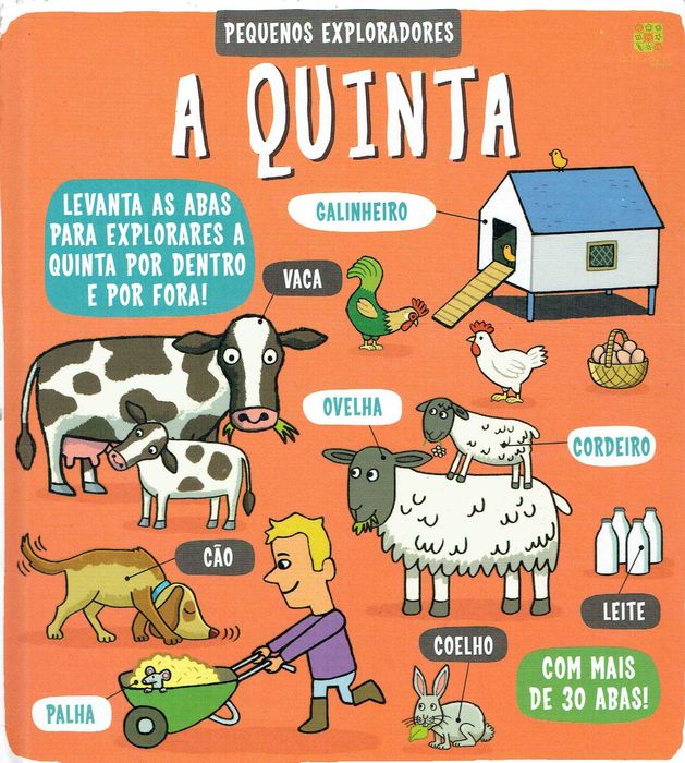 99603

Coleção Pequenos Exploradores
Edicare Editora