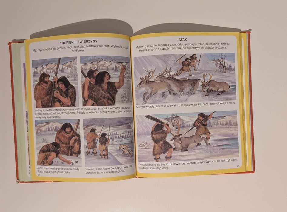 Świat w obrazkach Dinozaury i prehistoria książka dla dzieci