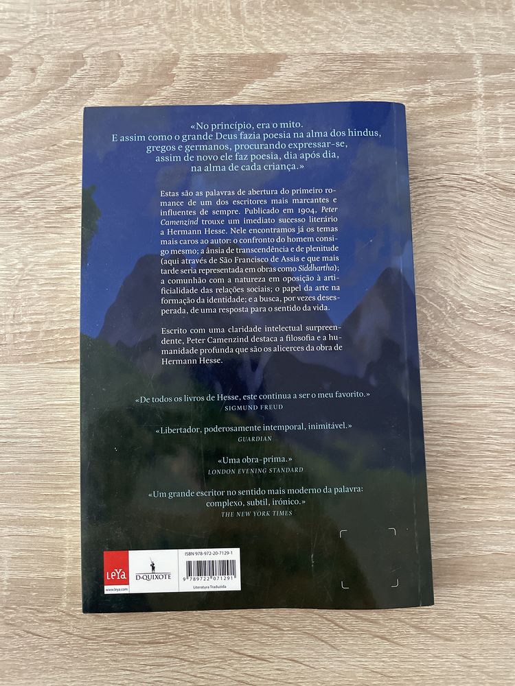 Hermann Hesse - Peter Camenzind