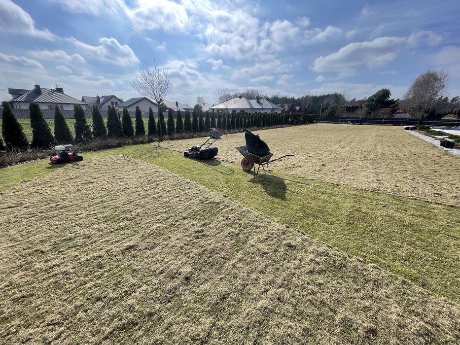 Uslugi ogrodnicze, koszenie trawy, ciecie zywopłotów, wycinka drzew