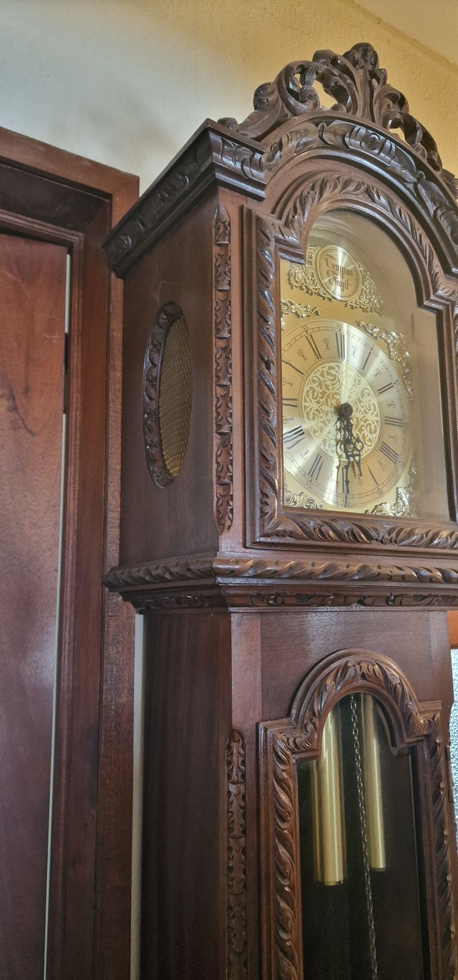 Relógio de pé "Tempus Fugit"