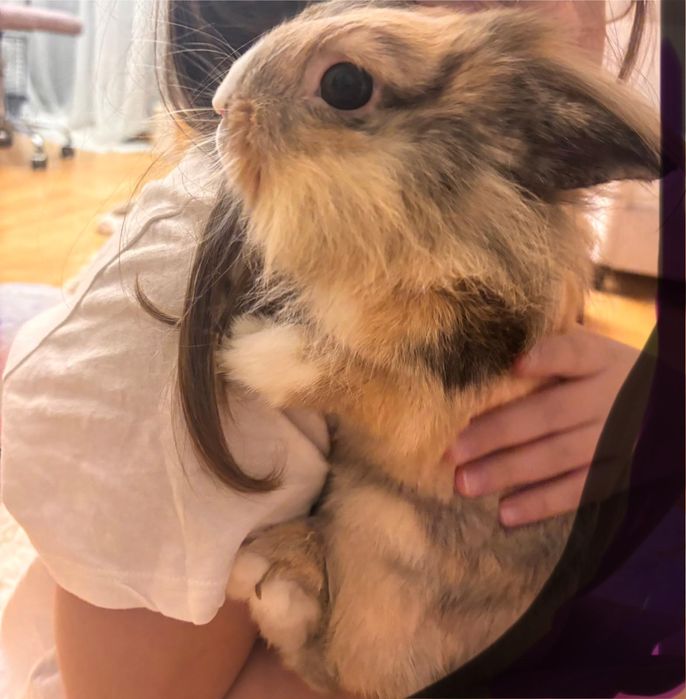 Do oddania w dobre rece