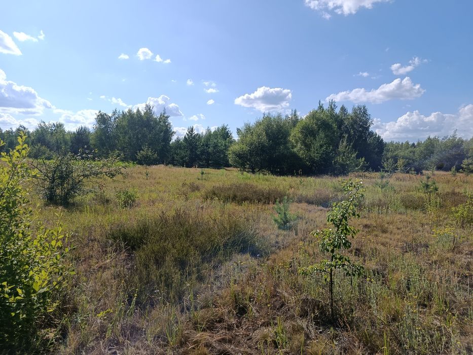 Продам 15-сот під забудову село.Сінгурі р-н новобудов