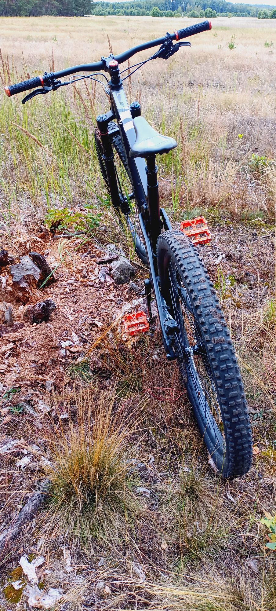 Focus enduro  MTB Super stan.