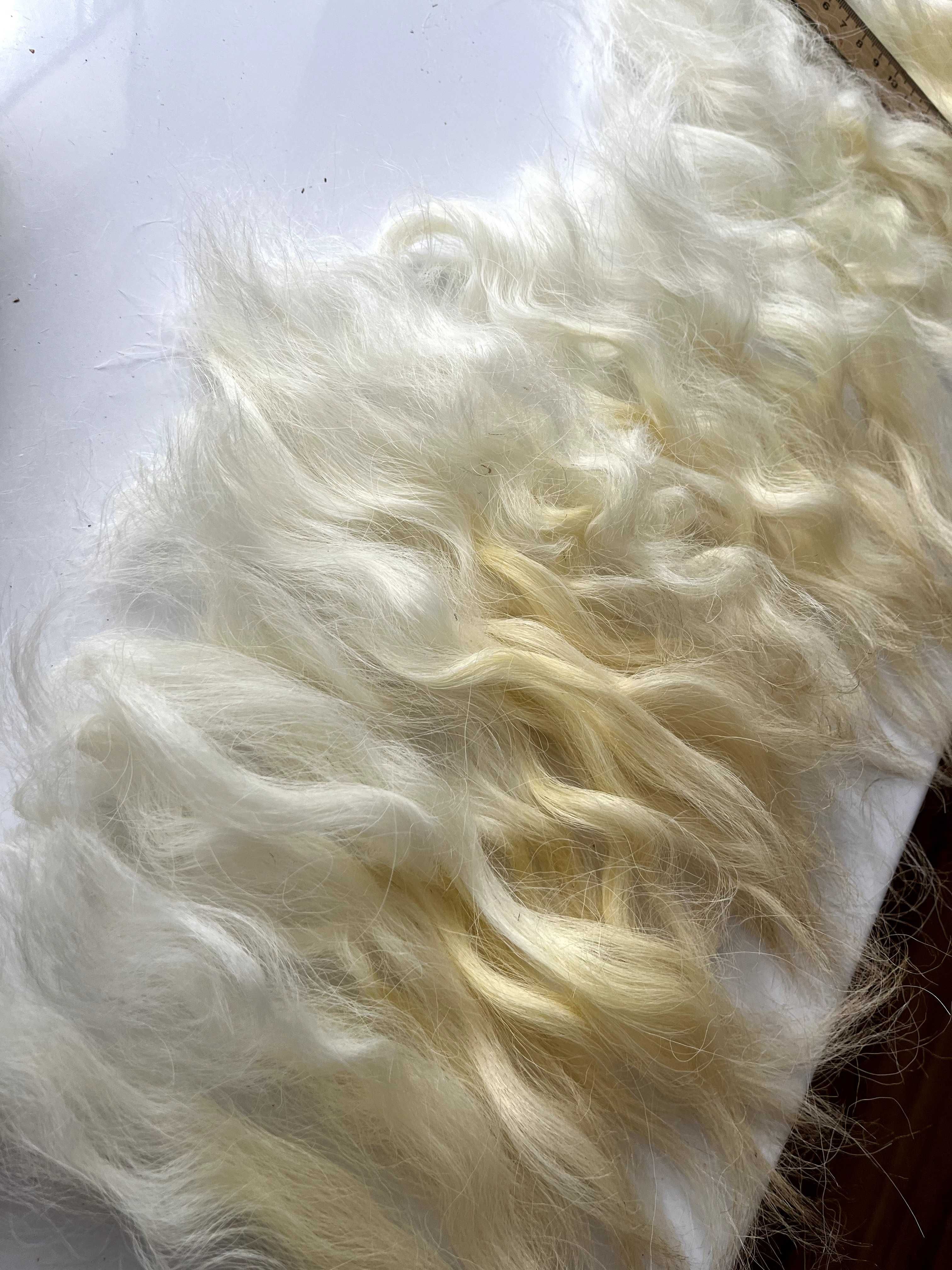 Натуральна шерсть - фліс Grey Face Dartmoor / волосся для ляльки /