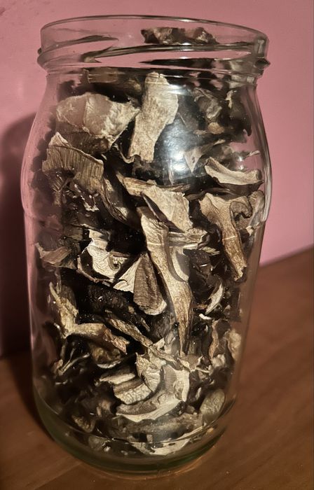 Grzyby wlasnorecznie zbierane, selekcjonowane, wszystkie zdowe