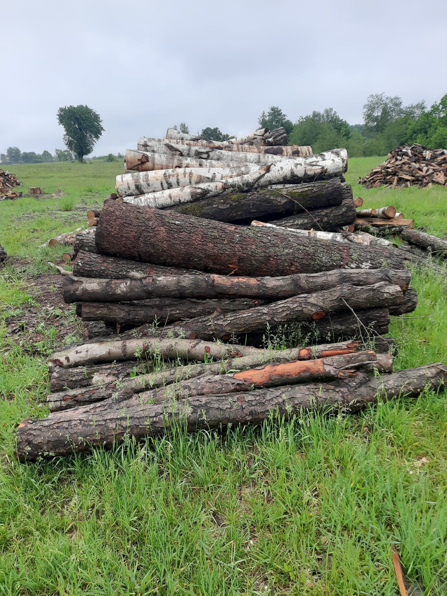 Продам дрова рівненьська область