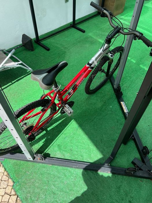 Bicicleta de adulto