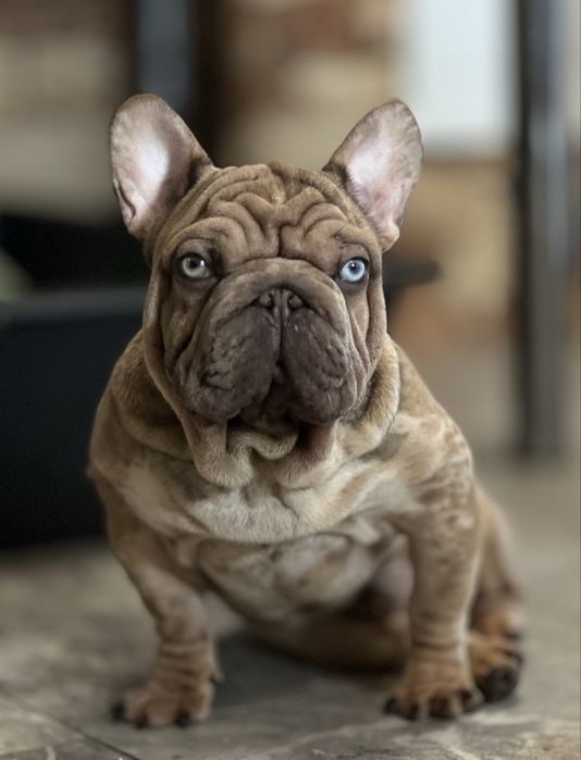 Красивенный мальчик Биг Роп на вязку