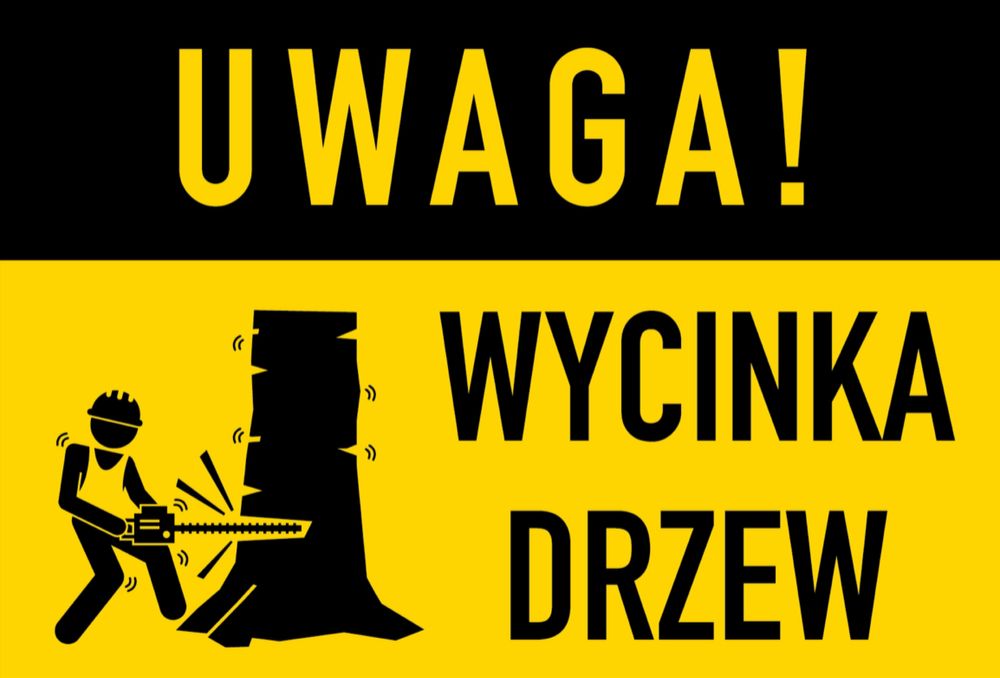 Wycinka drzew - SilesiaArbor