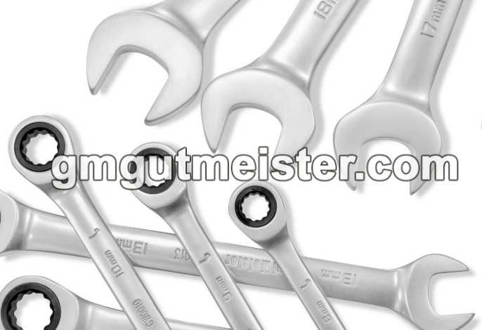 Набір ключів Рожково-Накидних з трещітко GUT MEISTER 12 ШТ 8-19MM