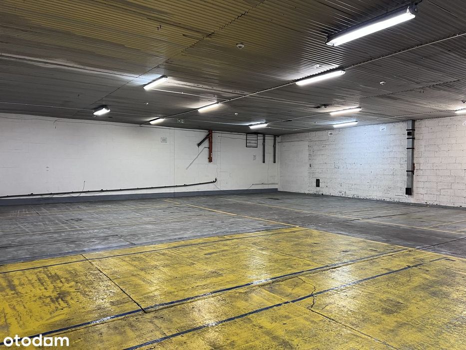 Magazyn pojedynczy od 350 mkw. Powierzchnia magazynowa. Magazyn.