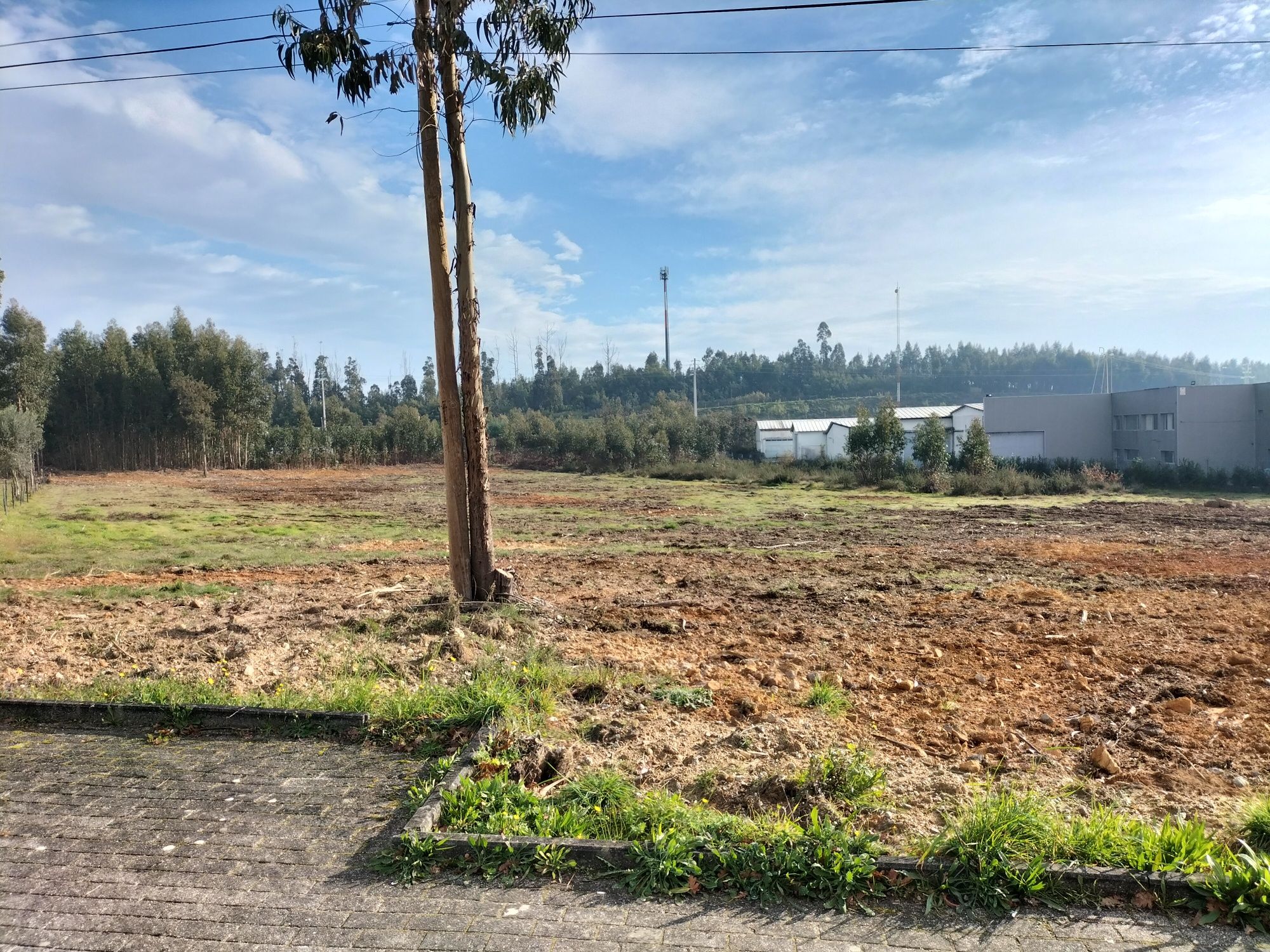 Terreno comércio e industria