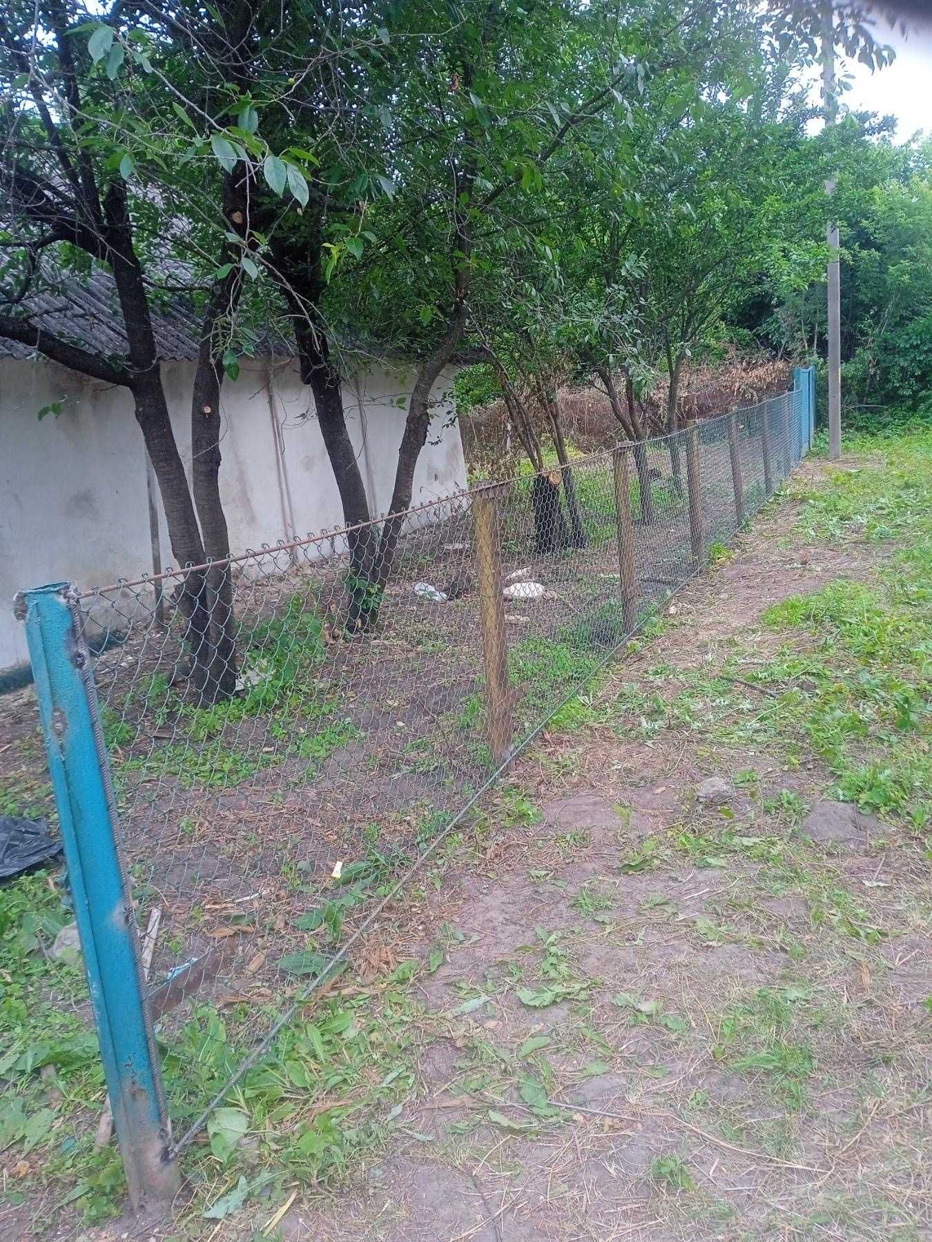 Ділянка з хатою, газом і виходом до ставку біля Білої Церкви