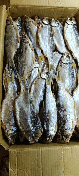 Тарань ( плотва ) с молодой икрой, балык толстолоба, щука вяленая