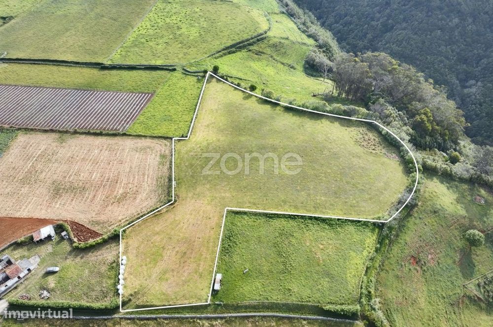 Terrenos Rústicos com Vista Mar – Almagreira | Total: 9.070 m²