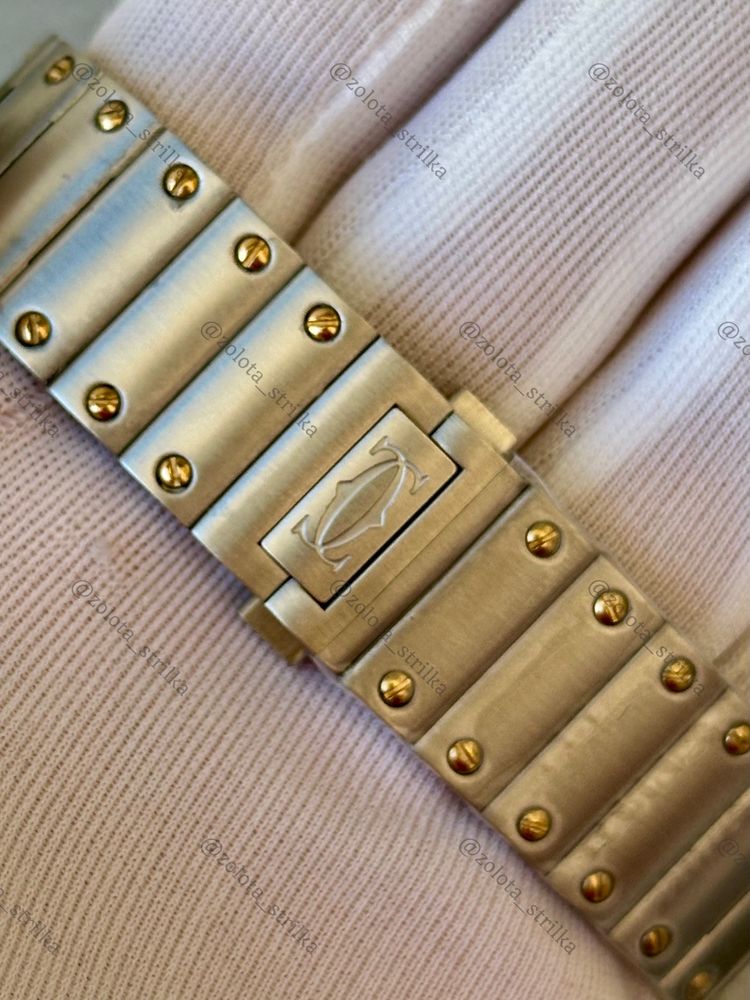 Cartier Cartier Santos de Cartier Large Automatic W2SA0009