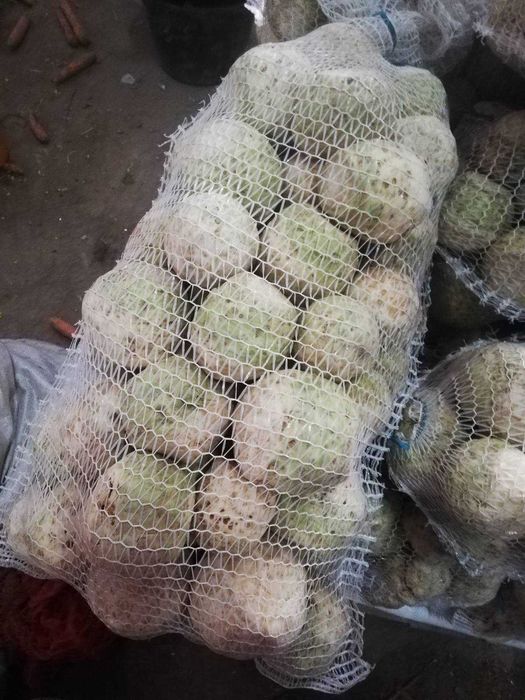 Продам корінь селери