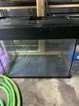 Disponivel aquario Delta  com tampa