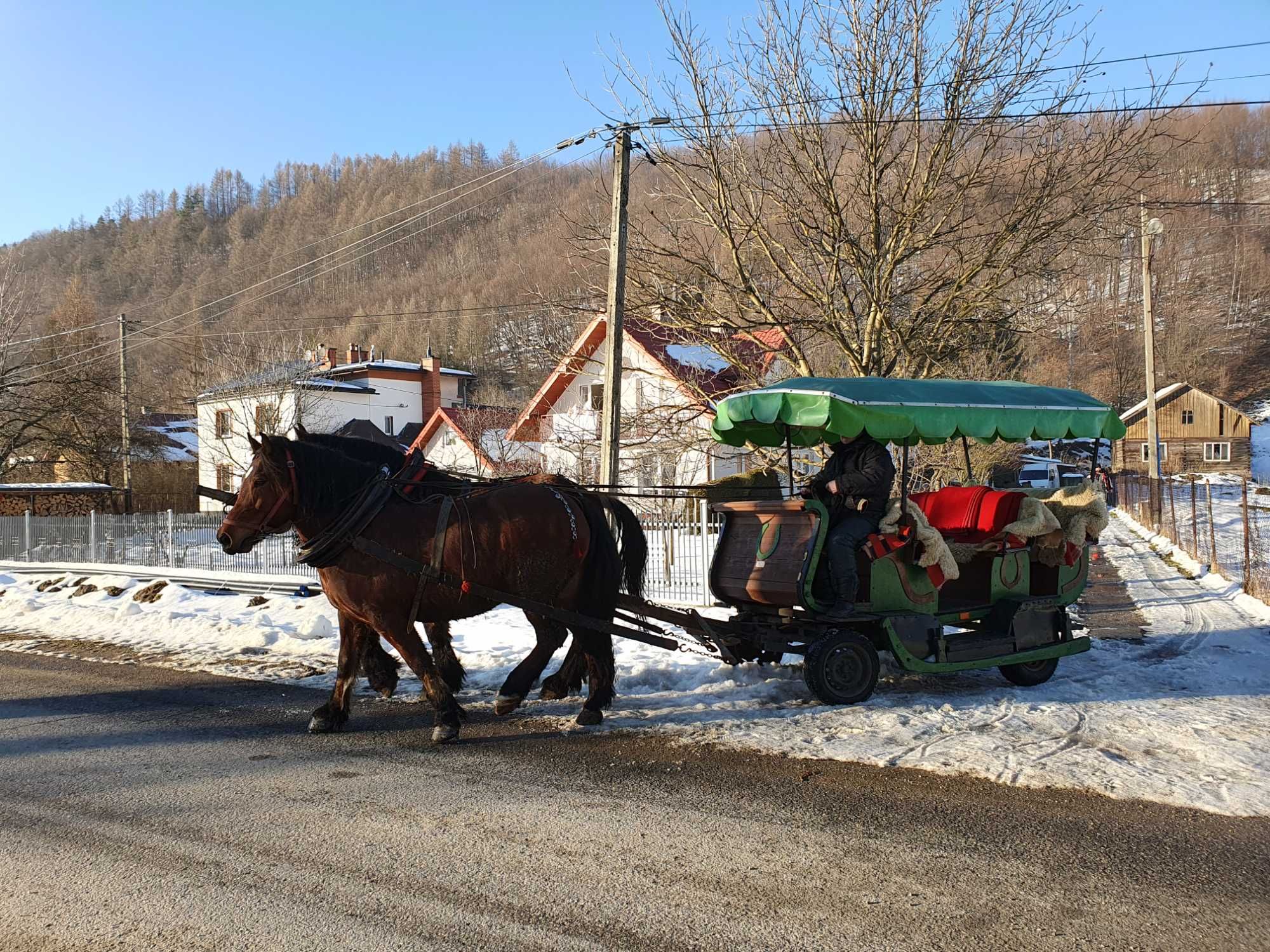 Wóz konny/sanie na 10 osób