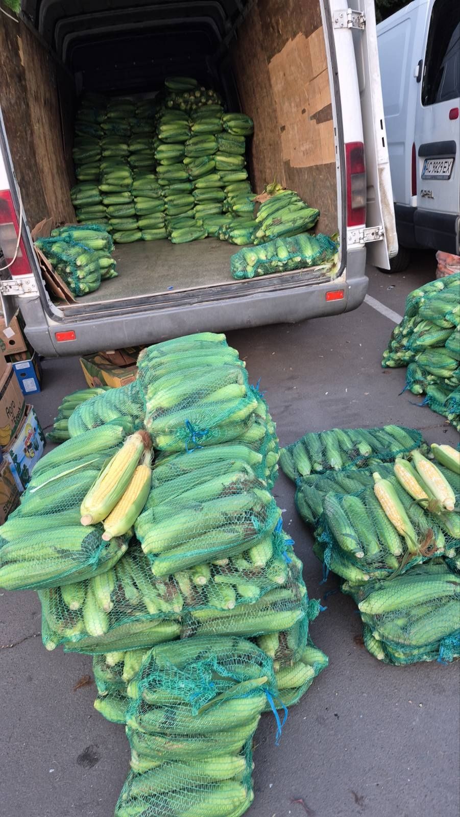 Продам солодку цукрову кукурудзу