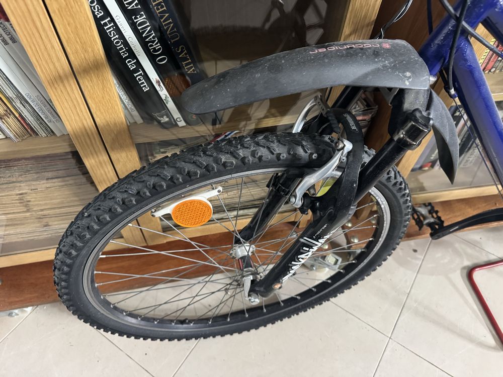 Bicicleta 2 Lugares com varios extras - 150€