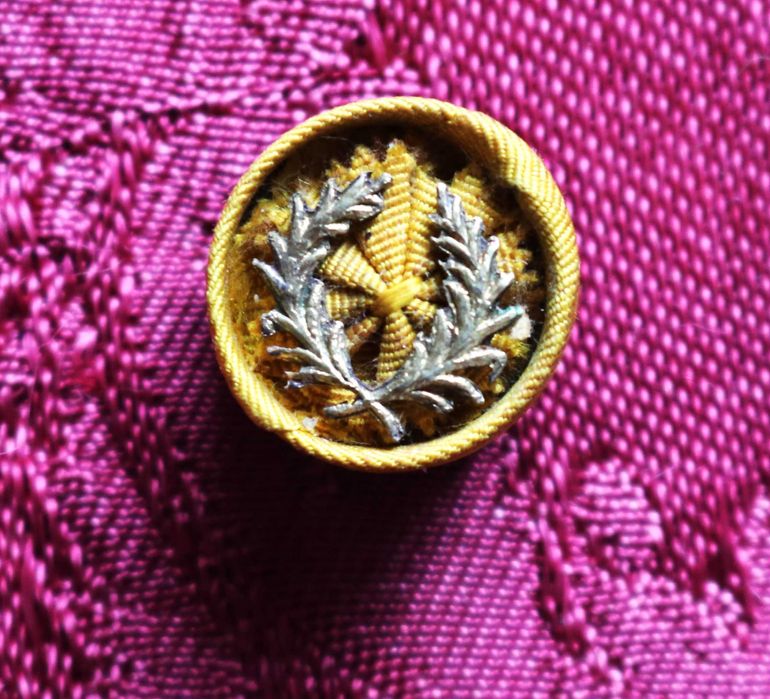 Roseta da Ordem da Instrução Publica