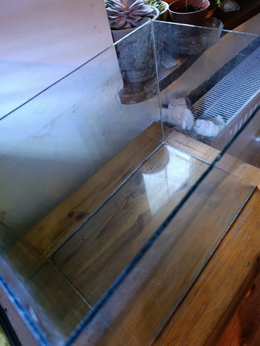 Akwarium 30l za darmo