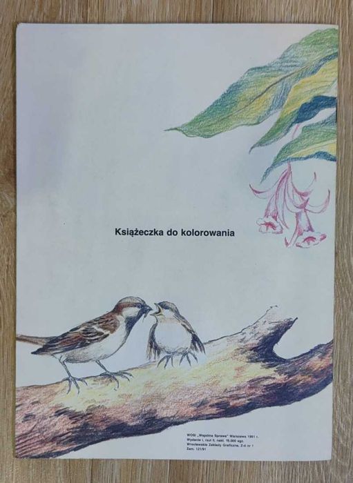 Ptaki ptaszki ptaszyska Joanna Casselius