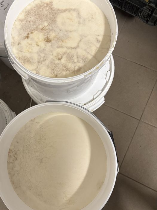 Miód wielokwiatowy w wiadrach