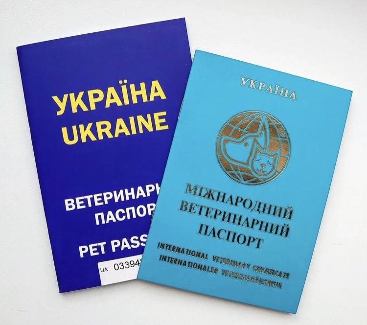 Ветеринарний паспорт для собак і кішок (Україна)