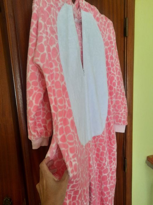 Pijama polar ou fato carnaval