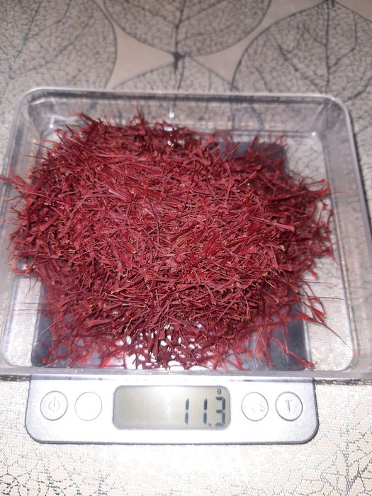 Шафран з Полісся,спеція