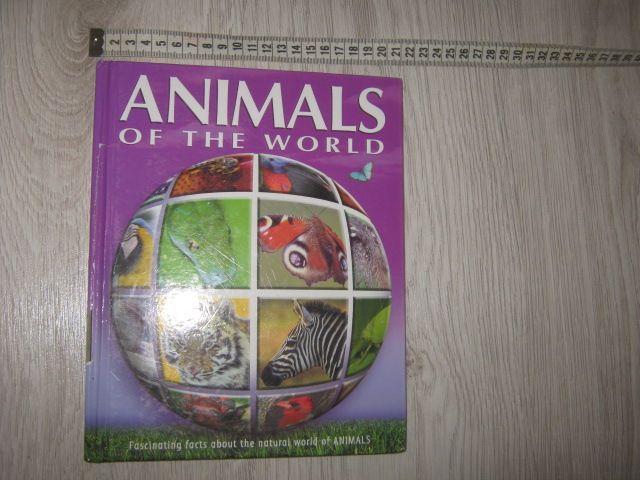 Энциклопедия животных английский язык