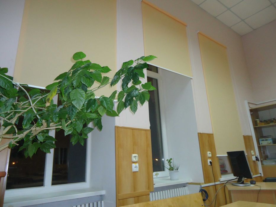 Декоративные жалюзи Berlin-B-0836 в Киеве. Изготовление, монтаж