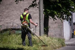 Cięcie, sprzątnie, koszenie, porządki, rozbiórki